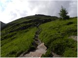 Malga Fosse - Rifugio Rosetta